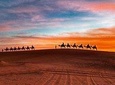 Desert Tour Ouarzazate M'hamed 2 Days / 1 night