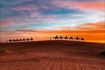 Desert Tour Ouarzazate M'hamed 2 Days / 1 night