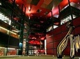 Private Tour in Reina Sofía Museum, Madrid