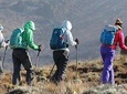 Day Trip Kilimanjaro Shira Plateau from Moshi