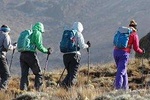 Day Trip Kilimanjaro Shira Plateau from Moshi