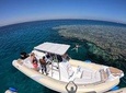 Private Dolphin Watching And Snorkeling Tour