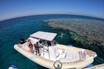 Private Dolphin Watching And Snorkeling Tour