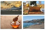 HoneyBee garden & Honey Taste,Palaiochora Beach 15prs Tour, Wheelchair Accessib