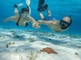 COZUMEL SNORKEL PLUS: Discover the depths of the Caribbean Sea 