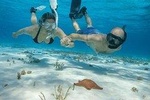 COZUMEL SNORKEL PLUS: Discover the depths of the Caribbean Sea 
