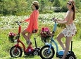 Rent an E-Scooter Tricycle Disability Friendly: for People with Limited Mobility