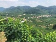 Prosecco and Cheese Tasting. From Venice. Full day