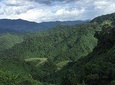 Discover Ho Chi Minh Trail in the Central of VietNam 2days 1 night