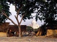 Taj Mahal and Agra Private Tour with Kachhpura Village Walk from Delhi