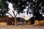 Taj Mahal and Agra Private Tour with Kachhpura Village Walk from Delhi