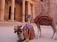 Jordan Horizons Tours: 2 Day 1 Night Petra & Wadi Rum Shore Excursion (ON Petra)