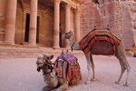 Jordan Horizons Tours: Petra and Wadi Rum 2 Days 1 Night Tour from Aqaba