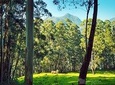5 Days Budget Kerala Tour Packages