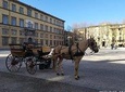 Complete tour of the city and walls