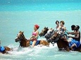 Ocho Rios Action Pack Water Excursion (Blue Hole, Tubing & Horseback Riding)