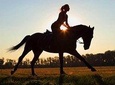 Punta Cana Horseback Riding