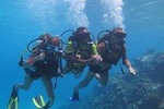 Full-Day Snorkeling Trip to Utopia Island from Hurghada
