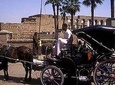 Luxor City Tour By Horse Carriage From West Bank