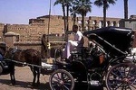 Luxor City Tour By Horse Carriage From West Bank