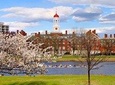 Boston Scavenger Hunt: Historic Harvard Hunt