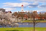 Boston Scavenger Hunt: Historic Harvard Hunt