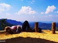 1 Day Trekking Around Kalaw