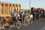 Luxor City Tour By Horse Carriage From West Bank