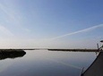 Moliceiro boat tour through the Ria de Aveiro!