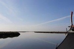 Moliceiro boat tour through the Ria de Aveiro!