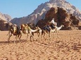 Jordan Horizons Tours: Petra and Wadi Rum Day Trip from Amman