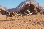 Jordan Horizons Tours: Petra and Wadi Rum Day Trip from Amman