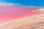 Las Coloradas & Rio Lagartos, Beautiful Eco Adventure 