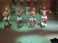 Cradle of Humankind and Lesedi Cultural Village Full Day Tour