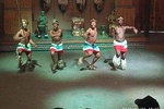 Cradle of Humankind and Lesedi Cultural Village Full Day Tour
