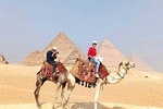 Explore The Great Pyramids and Sphinx on a Camel