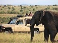3 Days Maasai Mara Adventure