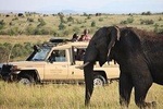 3 Days Maasai Mara Adventure