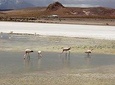 Salar de Uyuni private tours 2 days