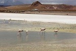 Salar de Uyuni private tours 2 days