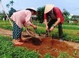 Hoi An Village Experience Tour with 3 Villages in Hoi An