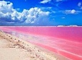 Las Coloradas Tour With Transportation