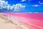 Las Coloradas Tour With Transportation