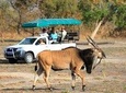 8 Days 7 Nights Senegal Highlights