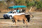 8 Days 7 Nights Senegal Highlights