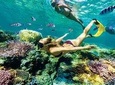Bali Snorkeling at Blue Lagoon & Tanjung Jepun Beach: All-Inclusive
