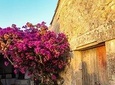 Taste of Sicily at our Farm