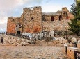 Jordan Horizons Tours: Jerash and Ajloun Castle Day Tour from Amman