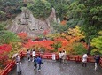 Fukui private full day with professional photographer - Dinosaur and History