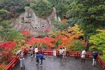 Fukui private full day with professional photographer - Dinosaur and History